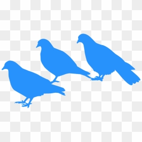 Pigeons And Doves, HD Png Download - pigeon vector png