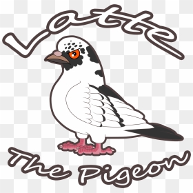 Angry Pigeon Cartoon, HD Png Download - pigeon vector png