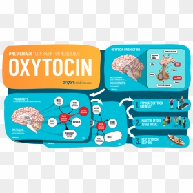 Oxytocin Benefits, HD Png Download - layers of fear png