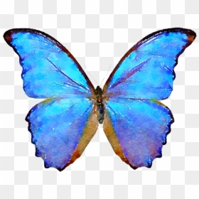 Blue Watercolor And Psd - Butterfly Png, Transparent Png - blue butterfly flying png