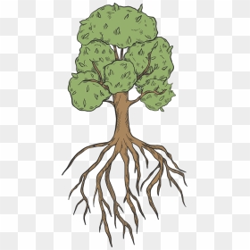 Tree With Roots Clipart - Illustration, HD Png Download - root png