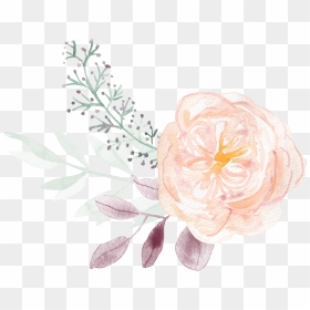 #boquet #bouquet #watercolor #watercolour #flowers - Rose, HD Png Download - boquet png