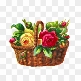Flower Rose Illustration Basket Digital - Flower, HD Png Download - flower basket png