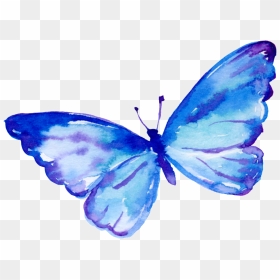 Flying Butterfly Cartoon Transparent - Butterfly Hd Cartoon Png, Png Download - blue butterfly flying png