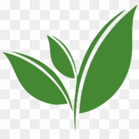 Tea Leaf Vector Png Clipart , Png Download - Green Tea Leaf Vector, Transparent Png - leaves logo png