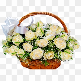 50 White Roses Basket - Transparent Flower Basket Png, Png Download - flower basket png