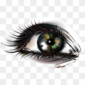 Eye Euclidean Vector - Eyes Png, Transparent Png - beautiful eye png