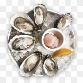 Tiostrea Chilensis, HD Png Download - oysters png