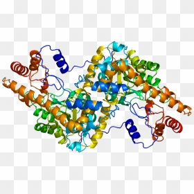Protein Got1 Pdb 1ajr - T-cell Lymphoma Invasion And Metastasis-inducing Protein, HD Png Download - got png