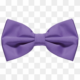 Bow Tie Transparent Background, HD Png Download - violet background png
