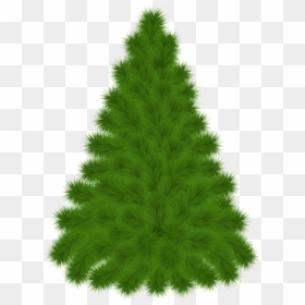 Pine Tree Clipart Png Transparent Png , Png Download - Pine, Png Download - ashoka tree png