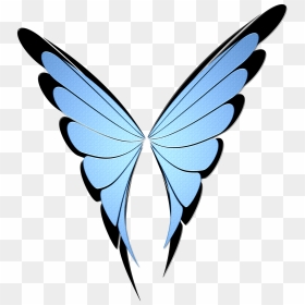 Gambar Sayap Kupu Kupu, HD Png Download - blue butterfly flying png