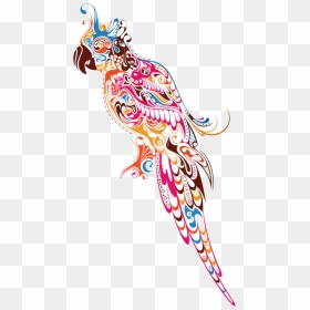 Colourful Png, Transparent Png - colourful png