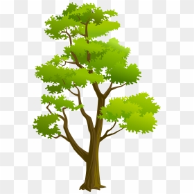 Free Png Download Tree Png Png Images Background Png - Tree Clipart High Resolution, Transparent Png - ashoka tree png