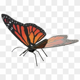Metal Earth Butterflies - Metal Earth Butterfly Monarch, HD Png Download - butterfly png 3d images