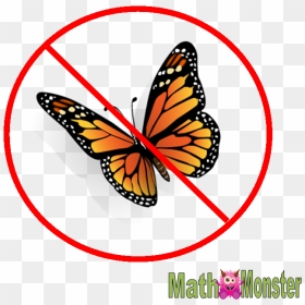 There Are No Butterflies In Math - Butterfly Official Psd, HD Png Download - butterfly png 3d images