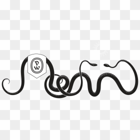 Snake - Serpent, HD Png Download - got png