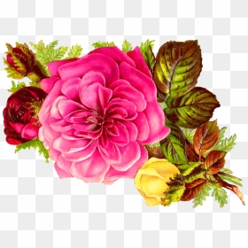 Habrumalas Pink Flower Bouquet Clip Art Images Clipartandscrap - Εικονεσ Για Χρονια Πολλα Ανδριανα, HD Png Download - pink flower bouquet png