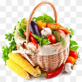 Quality Vegetables, HD Png Download - vegetables basket png