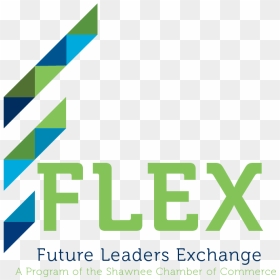 Transparent Flex Logo Png - Graphic Design, Png Download - flex design png