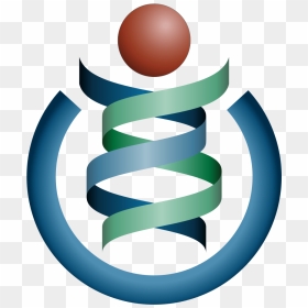 What Is A Png File - Wikimedia Foundation, Transparent Png - logo png image