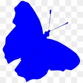 Blue - Butterfly Drawing In Blue, HD Png Download - blue butterfly flying png