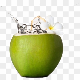 Coconut Water Png Hd Quality - Fresh Green Coconut Png, Transparent Png - water png hd