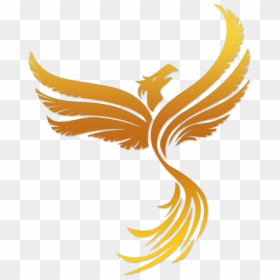 Phoenix Bird Clip Art - Phoenix Bird Transparent Background, HD Png Download - phoenix bird logos png