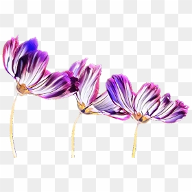 Purple Flowering Plant Plants - Flower Transparent Background Plant, HD Png Download - violet background png