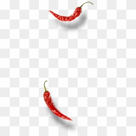 Illustration, HD Png Download - single green chilli png
