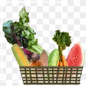 All Our Eggs Are In Too Few Baskets - Basket Of Crops, HD Png Download - vegetables basket png
