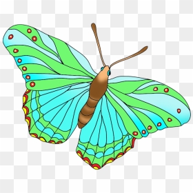 Beautiful Butterfly Green - Butterfly Sitting On A Flower In Cartoon, HD Png Download - blue butterfly flying png