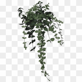 Ivy Clipart Nature - Transparent Green Aesthetic Png, Png Download - nature wallpaper png
