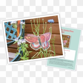 Garden 3d Butterfly Garden 3d Butterfly - Common Blue, HD Png Download - butterfly png 3d images