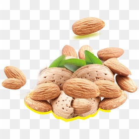 Almond Milk Nutrient Nutrition Fat Nuts - Almond, HD Png Download - dry fruit png