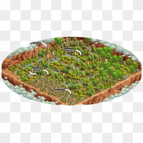 Shrubs Plan Png , Png Download - Moss, Transparent Png - shrubs plan png