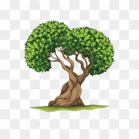 Bristlecone Pine Clipart, HD Png Download - photoshop trees top png