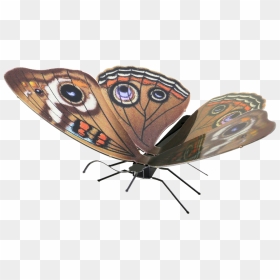 Metal Earthe Butterflies, HD Png Download - butterfly png 3d images