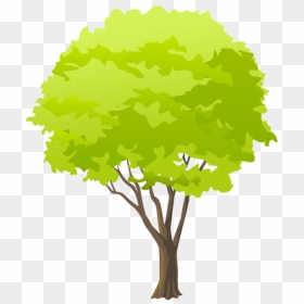 Green Tree Png Clip Art - Tree Art Png, Transparent Png - green trees png