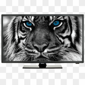 Tv Estar Ledtv32d4t2, HD Png Download - led tv png image