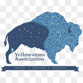 Yellowstone Tshirt Design, HD Png Download - tshirt design png