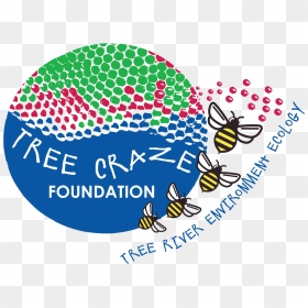 Tree Craze Foundation, HD Png Download - ashoka tree png
