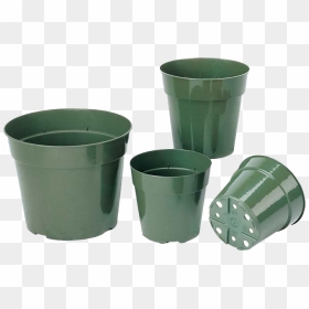 Application - Plastic Pots For Plants, HD Png Download - gamla flower png
