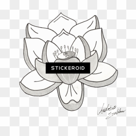 Lotus Tattoos Png Transparent Images - Line Art, Png Download - lotus png images