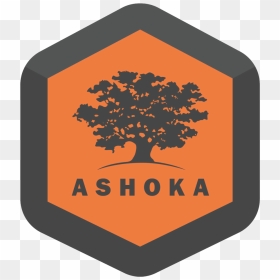 Ashoka U Logo, HD Png Download - ashoka tree png