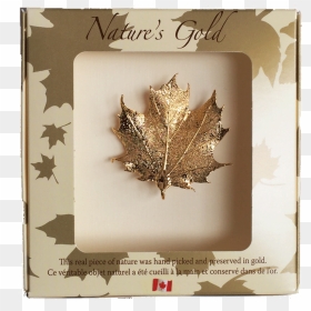 Real Maple Leaf Gold, HD Png Download - real leaves png