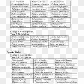 Document, HD Png Download - shrubs plan png
