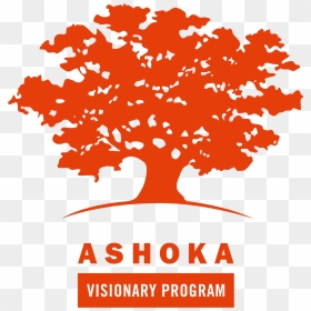 Ashoka Innovators For The Public India, HD Png Download - ashoka tree png