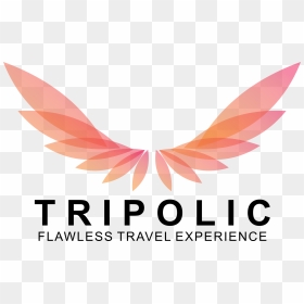 Tripolic - Nadarya Aviation Center Logo, HD Png Download - mangal ghat png