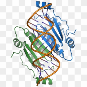 1r9f Tombusvirus P19 - Rna Silencing Suppressor P19, HD Png Download - colourful png